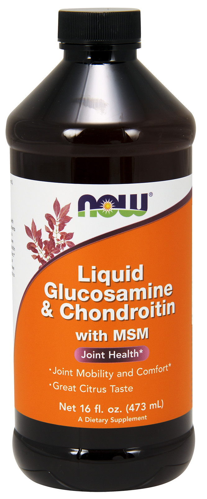 Glucosamine & Chondroitin with MSM - 473ml. versandkostenfrei/portofrei bestellen/kaufen